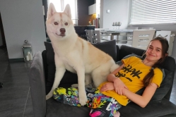 Rudi, Pika, Bolt, Smaili